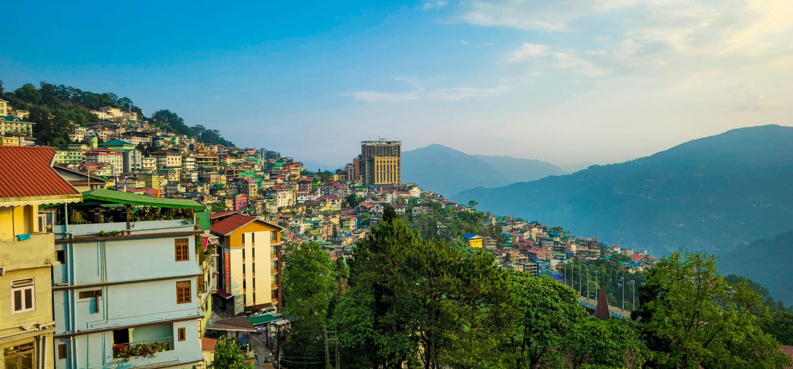 pexels amshiv 1476065 25311368